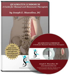 Quadrates Lumborum: A guide for Manual and Movement Therapists