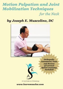 Motion Palpation Assessment and Joint Mobilization Treatment Techniques for the Low Back and Pelvis