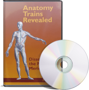 Anatomy Trains Revealed: Dissecting the Myofascial Meridian