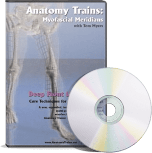 Anatomy Trains Vol 8: Deep Front Line - Lower Portion DVD