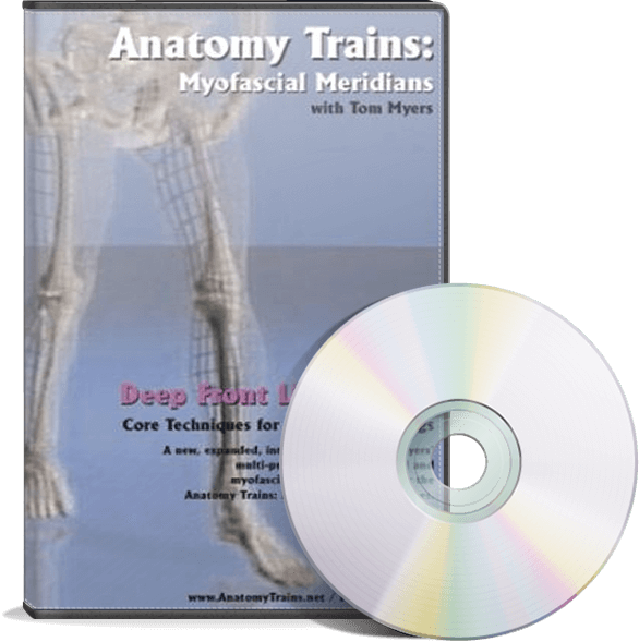 Anatomy Trains Vol 8: Deep Front Line - Lower Portion DVD