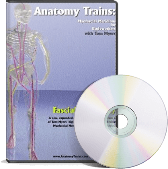 Anatomy Trains Vol 1: Fascial Tensegrity DVD