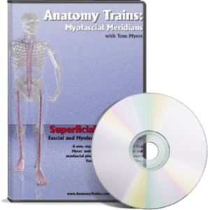Anatomy Trains Vol 3: Superficial Front Line DVD