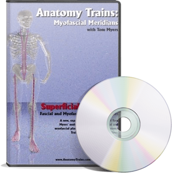 Anatomy Trains Vol 3: Superficial Front Line DVD