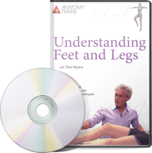 Understanding Feet & Legs (2 DVD Set)